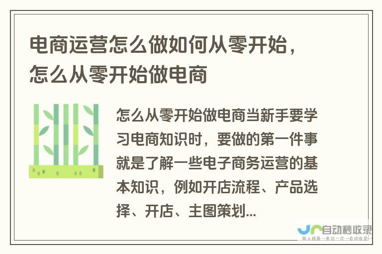 从零开始构建你的网站：全面指南及步骤详解
