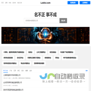 莱蒂斯有限公司